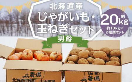 北海道産 じゃがいも 男爵 玉ねぎ セット M～2Lサイズ混載 各約10kg 合計約20kg 2箱 山田農場 ジャガイモ 芋 いも イモ 玉葱 タマネギ たまねぎ 国産 【2025年10月上旬-2026年3月上旬迄発送予定】