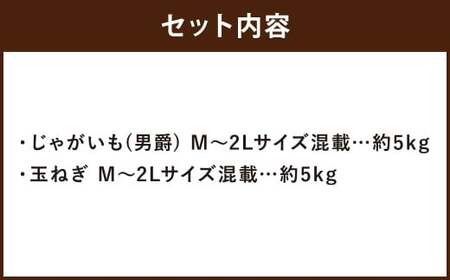 北海道産 じゃがいも 男爵 玉ねぎ セット M～2Lサイズ混載 各約5kg 合計約10kg 2箱 山田農場 ジャガイモ 芋 いも イモ 玉葱 タマネギ たまねぎ 国産 【2025年10月上旬-2026年3月上旬迄発送予定】