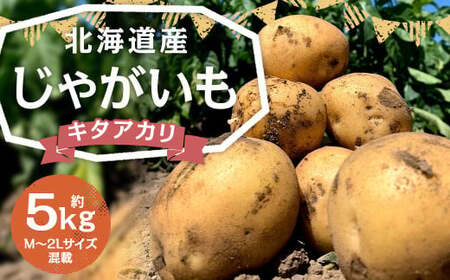 北海道産 じゃがいも キタアカリ M～2Lサイズ混載 約5kg 1箱 山田農場 ジャガイモ 芋 いも イモ 国産 【2025年9月下旬-2026年3月上旬迄発送予定】