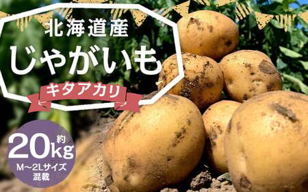 北海道産 じゃがいも キタアカリ M～2Lサイズ混載 約20kg 1箱 山田農場 ジャガイモ 芋 いも イモ 国産 【2025年9月下旬-2026年3月上旬迄発送予定】