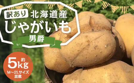 【訳あり】北海道産 じゃがいも 男爵 M～2Lサイズ混載 約5kg 1箱 山田農場 ジャガイモ 芋 いも イモ 訳アリ わけあり ワケアリ 国産 【2025年9月下旬-2026年3月上旬迄発送予定】
