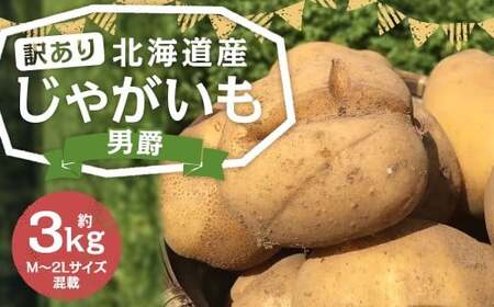 【訳あり】 北海道産 じゃがいも （男爵） 約3kg 山田農場 【2025年9月下旬～2026年3月上旬迄発送予定】 訳アリ 理由あり わけあり だんしゃく ジャガイモ 芋 いも 野菜 やさい ほくほく 北海道 京極町 常温