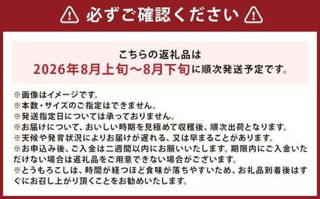 北海道産 とうもろこし 恵味 2Lサイズ 11本 約4kg 1箱 国産 トウモロコシ 冷蔵 【2026年8月上旬-8月下旬迄発送予定】