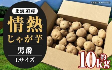 【先行受付】北海道産 情熱じゃが芋（男爵） Lサイズ 計約10kg 株式会社マルエイ商事 じゃがいも じゃが芋 ジャガイモ 芋 いも イモ 国産【2026年10月上旬～2026年12月上旬迄発送予定】