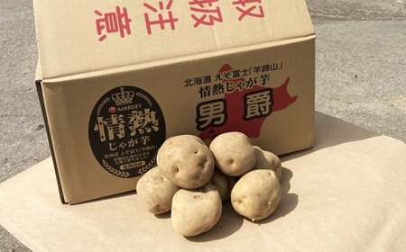 【先行受付】北海道産 情熱じゃが芋（男爵） Lサイズ 計約10kg 株式会社マルエイ商事 じゃがいも じゃが芋 ジャガイモ 芋 いも イモ 国産【2026年10月上旬～2026年12月上旬迄発送予定】