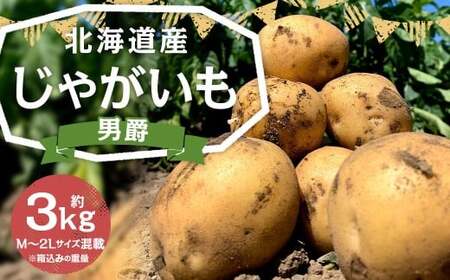 北海道産 じゃがいも （男爵） 約3kg 山田農場 だんしゃく ジャガイモ 芋 いも 野菜 やさい ほくほく 北海道 京極町 常温 【2026年9月下旬-2027年1月上旬迄発送予定】