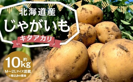 北海道産 じゃがいも キタアカリ M~2Lサイズ混載 約10kg 1箱 山田農場 ジャガイモ 芋 いも イモ 国産 【2026年9月下旬-2027年1月上旬迄発送予定】