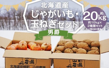 北海道産 じゃがいも 男爵 玉ねぎ セット M～2Lサイズ混載 各約10kg 合計約20kg 2箱 山田農場 ジャガイモ 芋 いも イモ 玉葱 タマネギ たまねぎ 国産 【2026年10月上旬-2027年1月上旬迄発送予定】