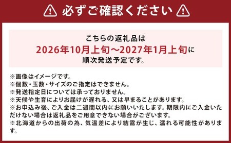 北海道産 じゃがいも キタアカリ 玉ねぎ セット M~2Lサイズ混載 各約5kg 合計約10kg 2箱 山田農場 ジャガイモ 芋 いも イモ 玉葱 タマネギ たまねぎ 国産 【2026年10月上旬-2027年1月上旬迄発送予定】