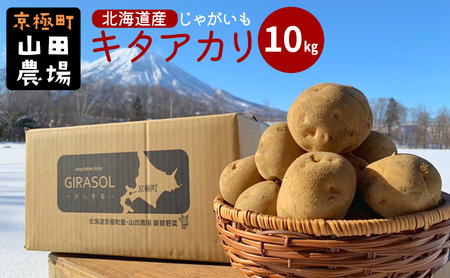 北海道産じゃがいも〈キタアカリ〉10kg［京極町］ 野菜 キタアカリ じゃがいも 北海道 10kg 料理