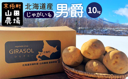 北海道産じゃがいも〈男爵〉10kg［京極町］ 野菜 男爵 じゃがいも 10kg 北海道 料理