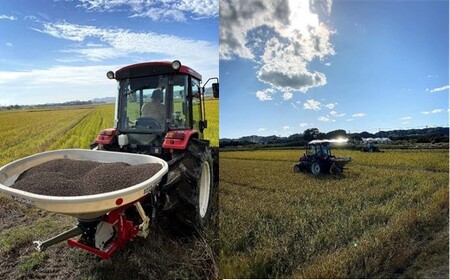 千葉県一宮町産コシヒカリ（白米10kg）食べくらべチャレンジセット令和７年度産米【2025年発送分】先行予約