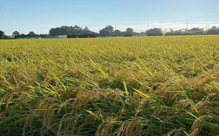 千葉県一宮町産コシヒカリ（白米10kg）食べくらべチャレンジセット令和７年度産米【2025年発送分】先行予約