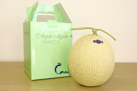 高級マスクメロン(千葉アクアメロン)2玉