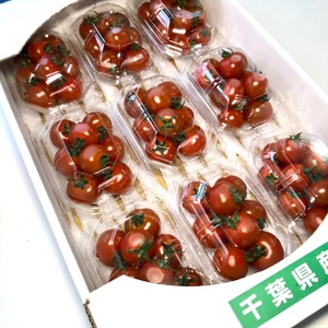 【石井農園】高糖度フルーツミニトマト「Makana（マカナ）」やみつきパック150g×9パック