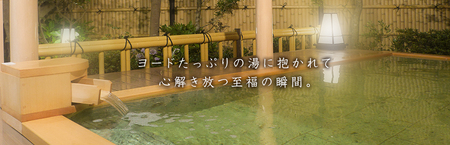 ホテル一宮シーサイドオーツカ 天然温泉日帰り入浴&お食事プラン!