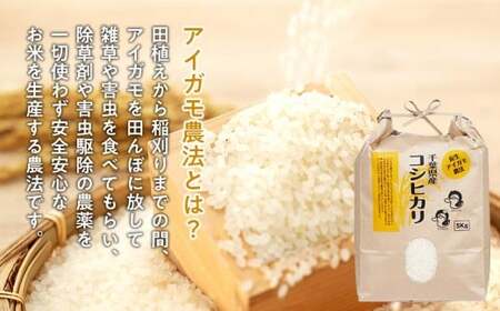 A01-001 アイガモ農法によるお米(白米5kg)