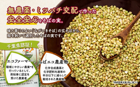 B01-004 ながいきそばの実 300g×9袋