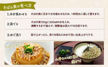 B01-004 ながいきそばの実 300g×9袋