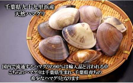 C01-E01 千葉県産ボイルハマグリ 2kg(小~中サイズ)