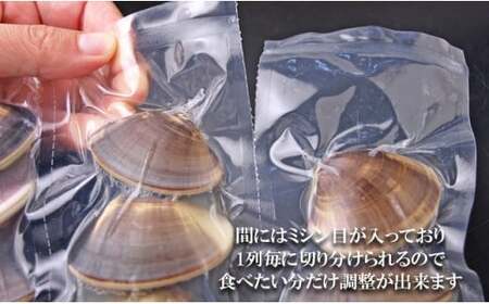 C01-E01 千葉県産ボイルハマグリ 2kg(小~中サイズ)