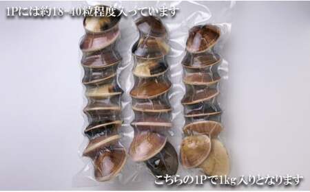C01-E01 千葉県産ボイルハマグリ 2kg(小~中サイズ)