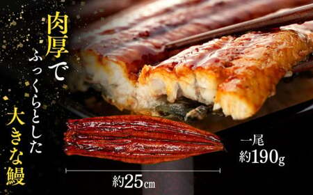 C01-E09 特大うなぎ長蒲焼 760g