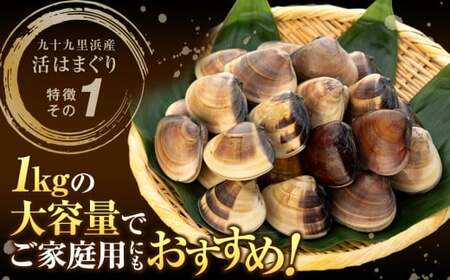 C01-E11 千葉県産活ハマグリ 1kg