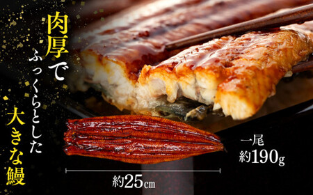 C01-J25 特大うなぎ長蒲焼 570g