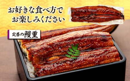 C01-J25 特大うなぎ長蒲焼 570g