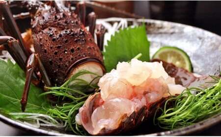 C01-B30 刺身用活〆冷凍伊勢海老 420g