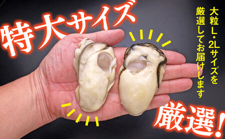 C01-H31 大粒むき身牡蠣 3kg（約20～30粒×3袋）