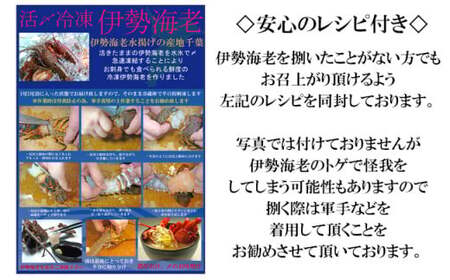 C02-E43 活〆冷凍伊勢海老 1.2kg