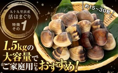 C01-J53 千葉県産活ハマグリ 1.5kg