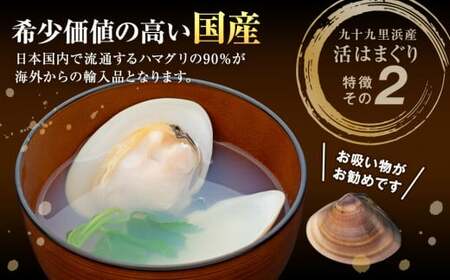 C01-J53 千葉県産活ハマグリ 1.5kg