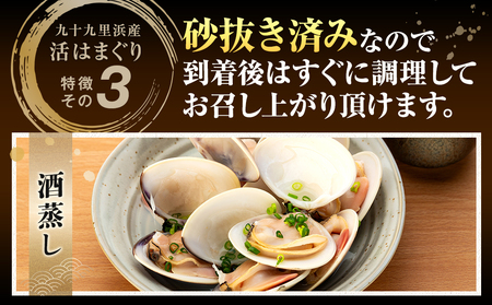 C01-I58 千葉県産活ハマグリ 3kg