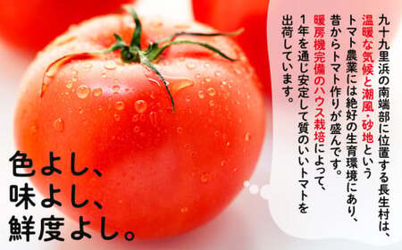 E01-001 ながいきトマト 4kg