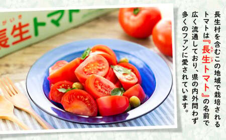 E01-001 ながいきトマト 4kg