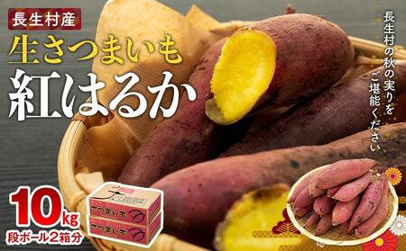 J01-002 長生村産生さつまいも 紅はるか 10kg