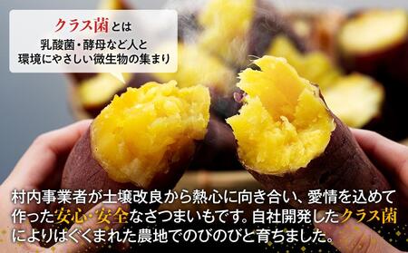 J01-002 長生村産生さつまいも 紅はるか 10kg