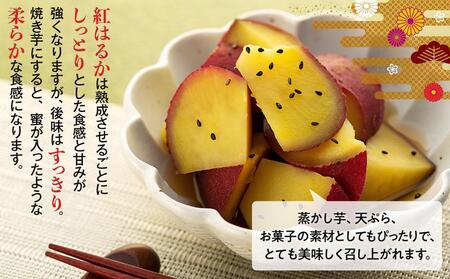 J01-002 長生村産生さつまいも 紅はるか 10kg