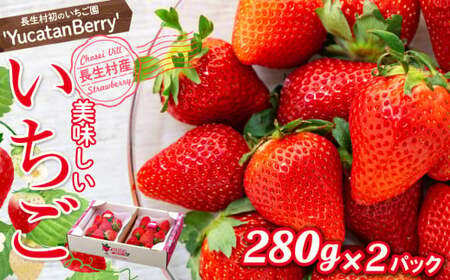 AA1-001 長生村産いちご 280g×2パック【2026年産】