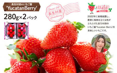 AA1-001 長生村産いちご 280g×2パック【2026年産】