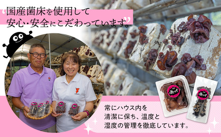 U01-001 生きくらげ