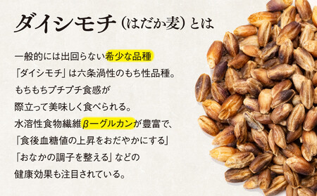 AB1-009 千葉県長生村産 自然栽培 ダイシモチ麦(六条大麦)300g×4袋