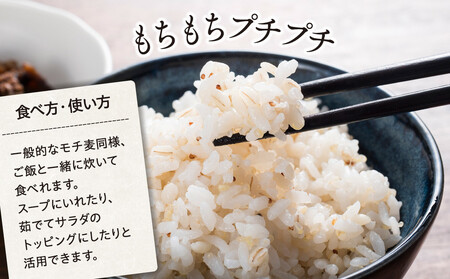 AB1-009 千葉県長生村産 自然栽培 ダイシモチ麦(六条大麦)300g×4袋