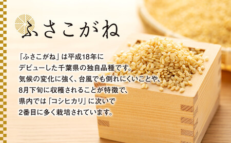 H04-B01 ふさこがね（玄米30kg）令和7年産