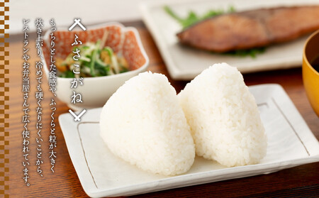 H04-B01 ふさこがね（玄米30kg）令和7年産