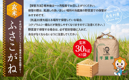 H04-B01 ふさこがね（玄米30kg）令和7年産