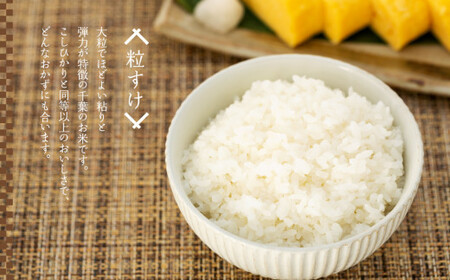 H04-B02 粒すけ（玄米30kg）令和8年産